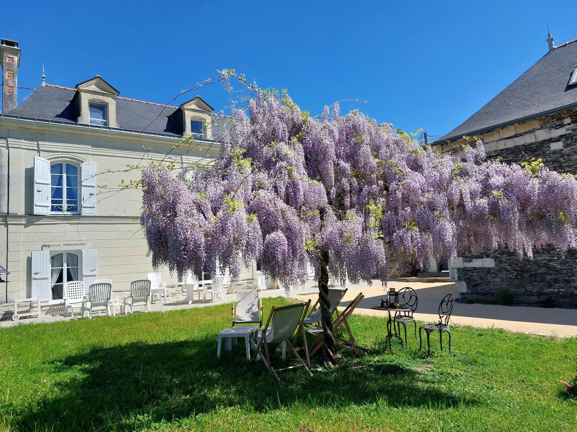 Апартаменти La Bohal' Loire La Bohalle Екстер'єр фото